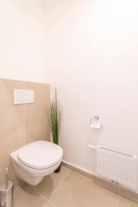 Apartment Comfort Nahe Uno-city Und Vic I Levestate